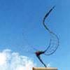 sculpture Oiseau de Paradis en grillage acier