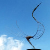 Grillage "OISEAU DE PARADIS" Joël Strill Sculpteur ©