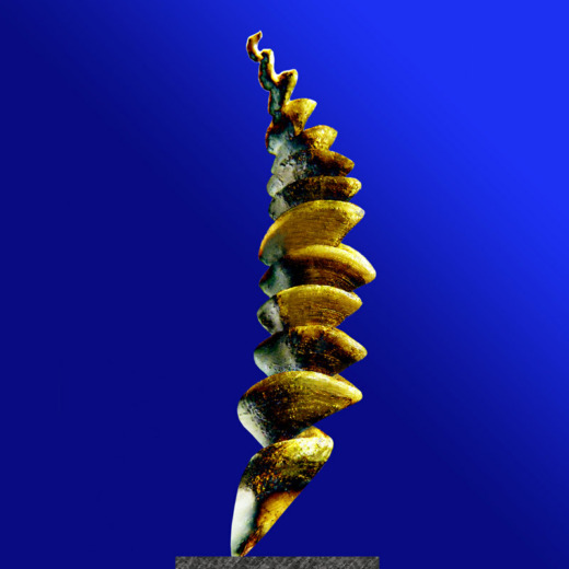 "RYTHMES ET MÉTAMORPHOSES" Sculpture Bronze 